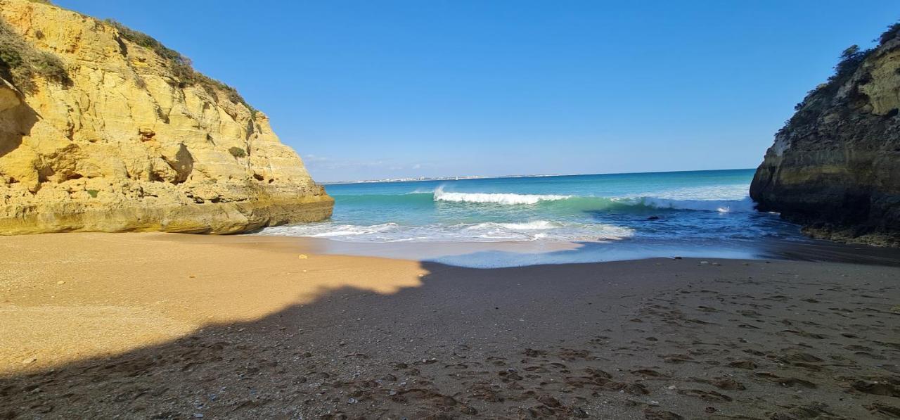 Baia Da Luz Luz Beach 1 Bedroom Apartment 外观 照片